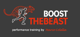 Boost The Beast – Original-Logo